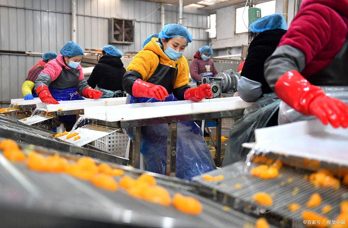 智能分揀設(shè)備對生鮮食品有哪些作用？(圖3)
